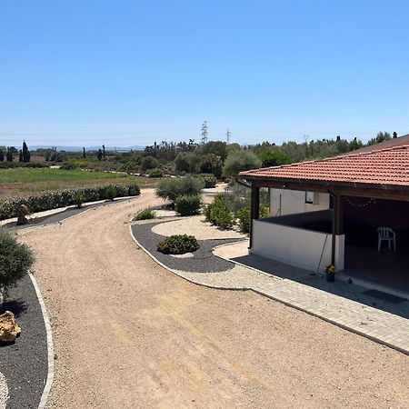 B&B Piandelidei Sassari Zewnętrze zdjęcie